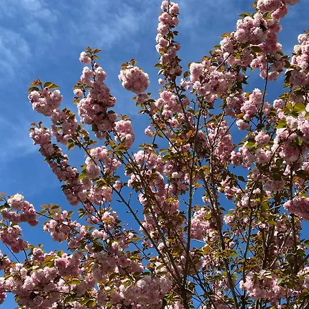 El Mirador Del Orfanato Apartment Llanes