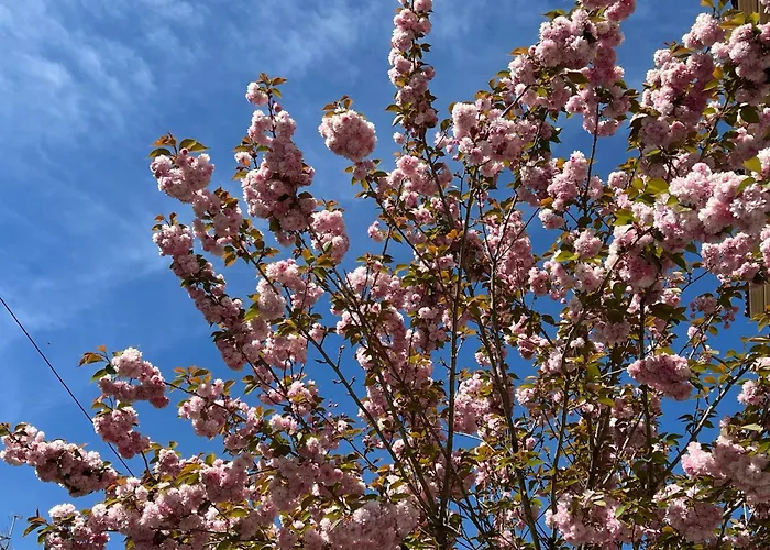 El Mirador Del Orfanato Appartement Llanes